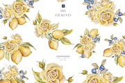 Watercolor lemon and blueberry, an Illustration by MariGraphic boutique (Thumbnail 3 of 13)
