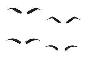 Eyebrows Set 1 Procreate Brush Stamp