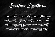Breakline Signature – Handbrush Font, a Script Font by Fikryal Studio (Thumbnail 15 of 15)