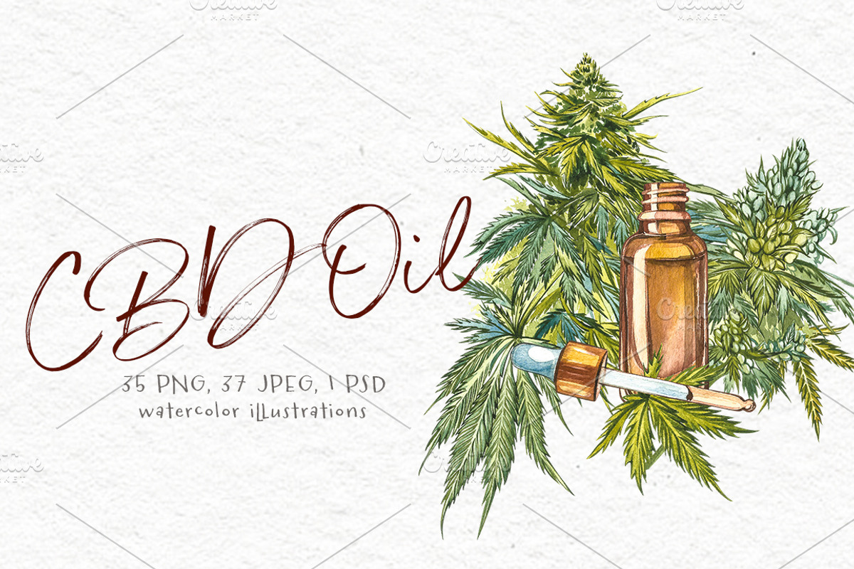 CBD Oil. Hemp illustration, a Food Illustration by Ann Astro (Photo 3 of 8)