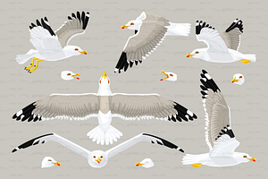 Vector Seagull Sea Gull Set