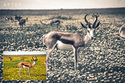 Split Toning Lightroom Presets Vol 1, a Preset Add-On by ShutterSweets (Thumbnail 3 of 5)