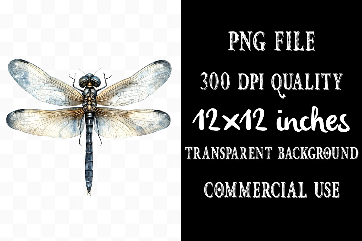 Dragonfly Clipart Bundle, an Illustration by Designking (Photo 4 of 5)