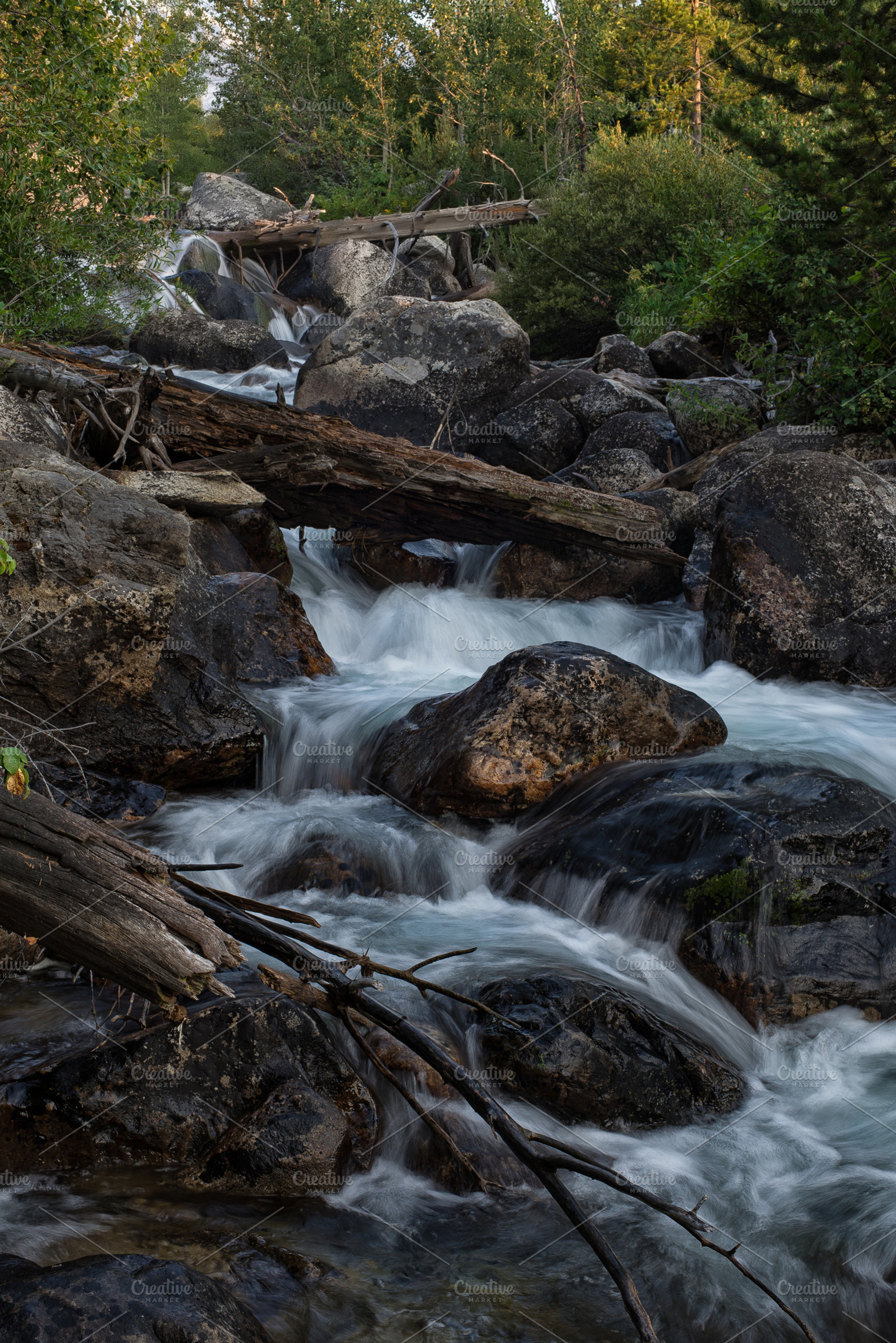 Cascading mountain stream, a Nature Photo by The Native Lens