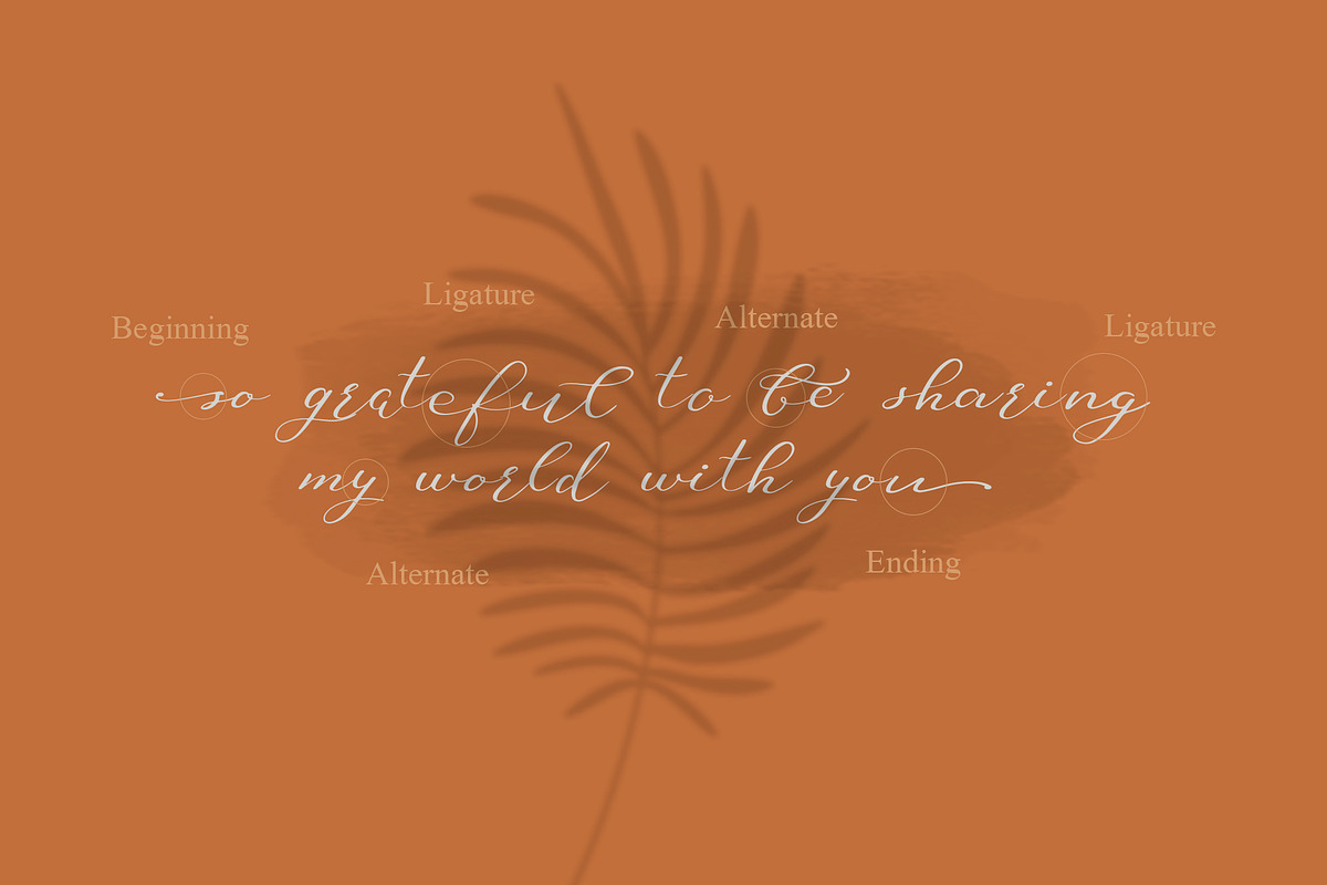 Mood Board script font, a Serif Font by Anna Zakharchenko (Photo 19 of 23)