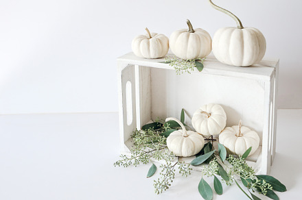 Pumpkin Crate 2 - Stock Photo