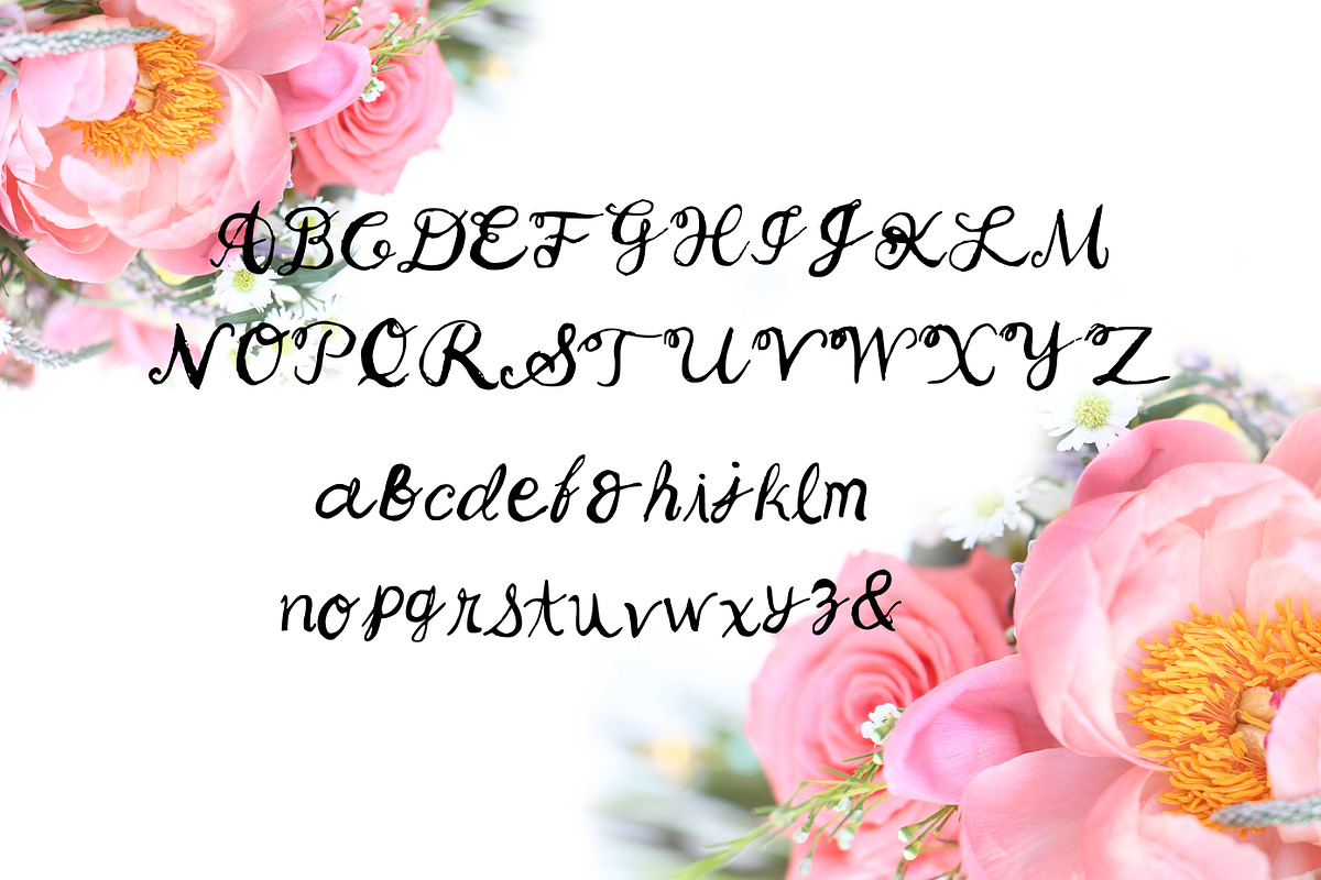 Songbird Whimsical Font By Kay preview 2