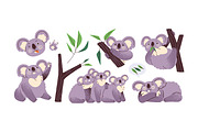 Cute koalas set, cards, patterns, an Animal Illustration by PaperTrident (Thumbnail 4 of 17)
