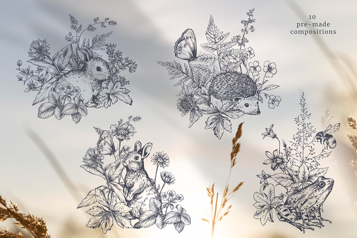 Wildflower Meadow Vector Set, a Decorative Illustration by Molly art (Photo 4 of 12)