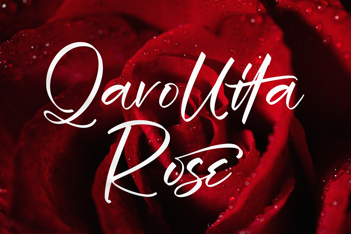 Wegirose, a Script Font by Integritype Studio (Photo 2 of 15)