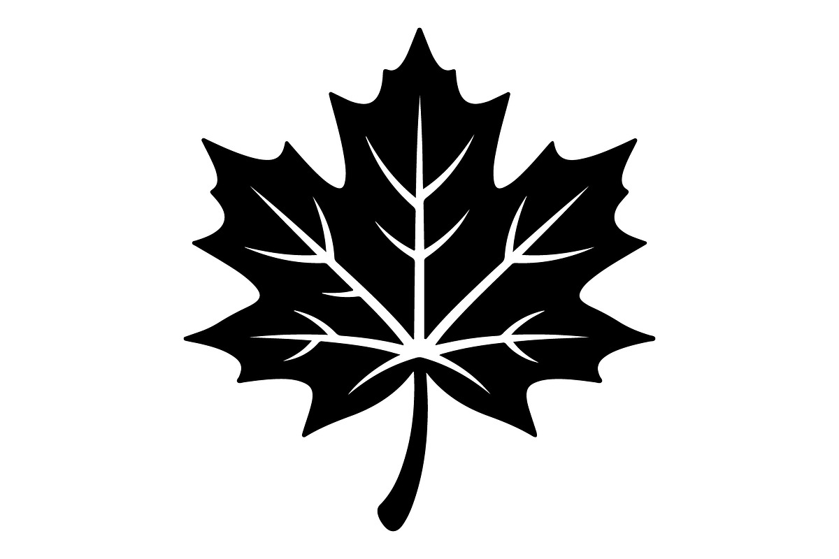 Maple Leaf Acorn Autumn, an Object Graphic by Gfx_Store (Photo 11 of 18)