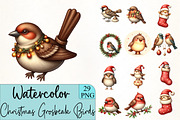 Christmas Grosbeak Birds Clipart, an Illustration by CrexoraLab (Thumbnail 1 of 5)
