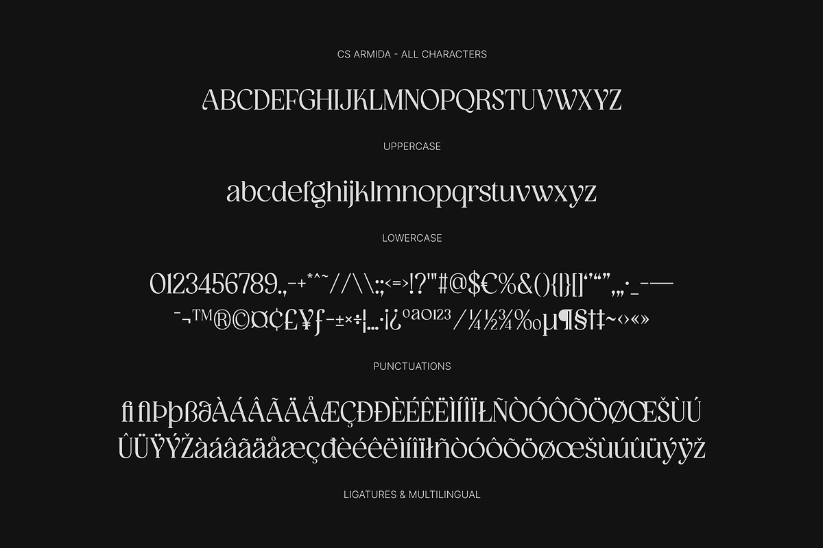 CS Armida – Elegant Serif Font, a Serif Font by Craft Supply Co. (Photo 8 of 8)