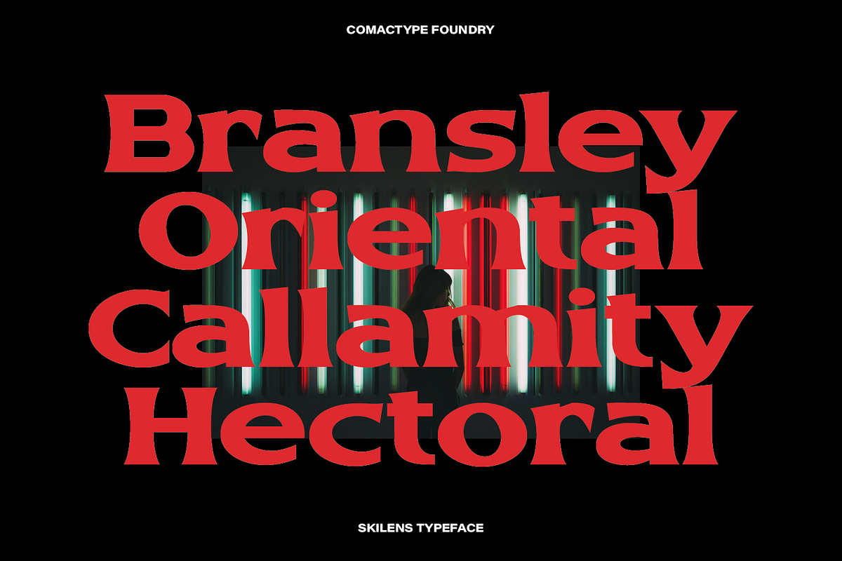 Skilens - Display Serif Typeface, a Serif Font by Comactype Foundry (Photo 5 of 20)