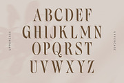 Bilqust - Elegant Serif, a Serif Font by Nirmana Visual (Thumbnail 5 of 9)