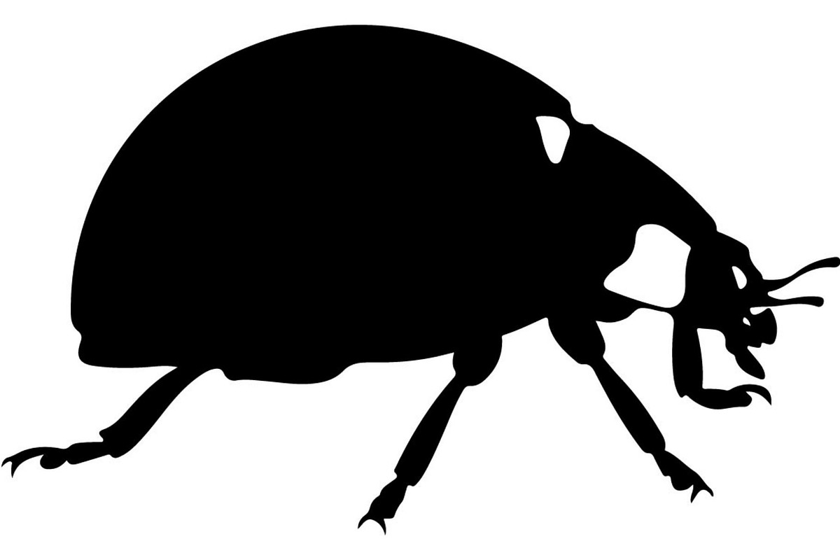 20 Ladybug Silhouette Mega, an Object Graphic by Designer_Momina (Photo 12 of 20)