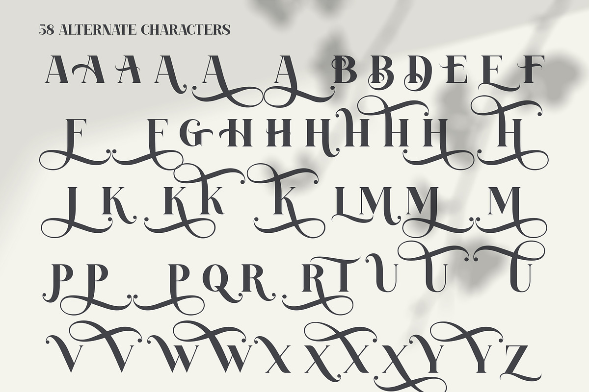SALVAGES BOLD | SERIF FONT, a Serif Font by Muntab_Art (Photo 4 of 9)