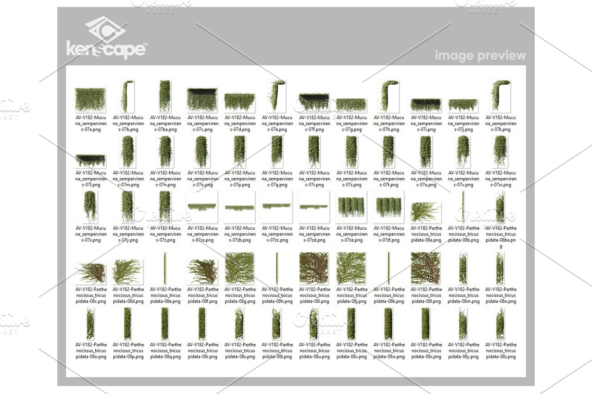 60 Vines & Creepers Photo Overlays, a Nature Photo by KenScape (Photo 3 of 3)