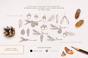 Forest sketchbook vintage collection, a Decorative Illustration by Pigment Café (Thumbnail 2 of 7)