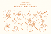 Hand Drawn Oranges, a Decorative Illustration by Neptune Paper Co. (Thumbnail 2 of 2)