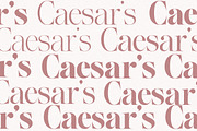The Effolia | 9-Weight Classy Family, a Serif Font by Pista Mova (Thumbnail 2 of 31)
