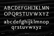 Elmont | 18 Fonts, a Serif Font by Skinny Type (Thumbnail 7 of 10)