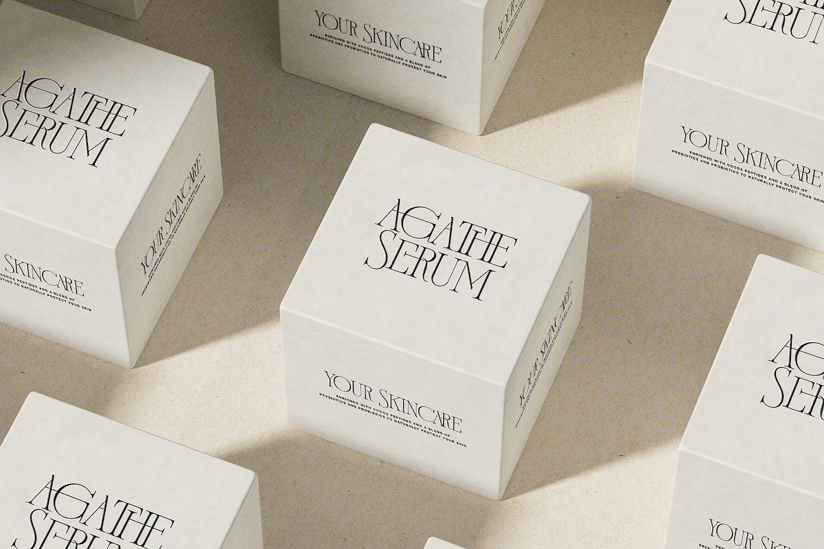 French Voyager - Chic Ligature Serif, a Serif Font by SilverStag Type Foundry (Photo 8 of 23)