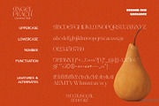 SS Angel Peach - Fancy Serif Font, a Serif Font by Typocracy Studio (Thumbnail 12 of 12)