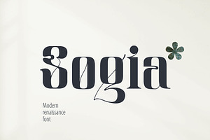 Sogia modern renaissance font, a Serif Font by kaer_shop