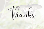 Butterfly | Script Font, a Handwritten Font by Scratchones (Thumbnail 9 of 9)