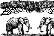 Wild Elephant Silhouette Set, an Illustration by jahid234 (Thumbnail 20 of 21)