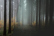 Moody Lightroom Presets - Soft Light, an Action Add-On by PhotoMarket (Thumbnail 30 of 33)