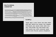 GC Arbiter — Mono Logic Typeface, a Sans Serif Font by Glyphonic (Thumbnail 15 of 15)