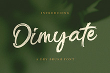 Dimyate - Dry Brush Script Font