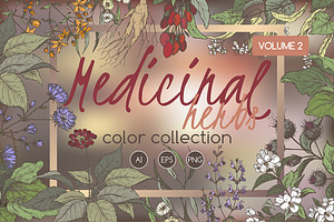 Medicinal herbs color set Vol.2