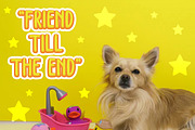 Moggly - Cute Quirky Font, a Sans Serif Font by Pixesia Studio (Thumbnail 9 of 13)
