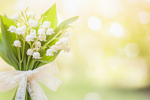 Small bouquet of lily of the valley resting on wooden surface, c, a Photo by Dvoevnore photos