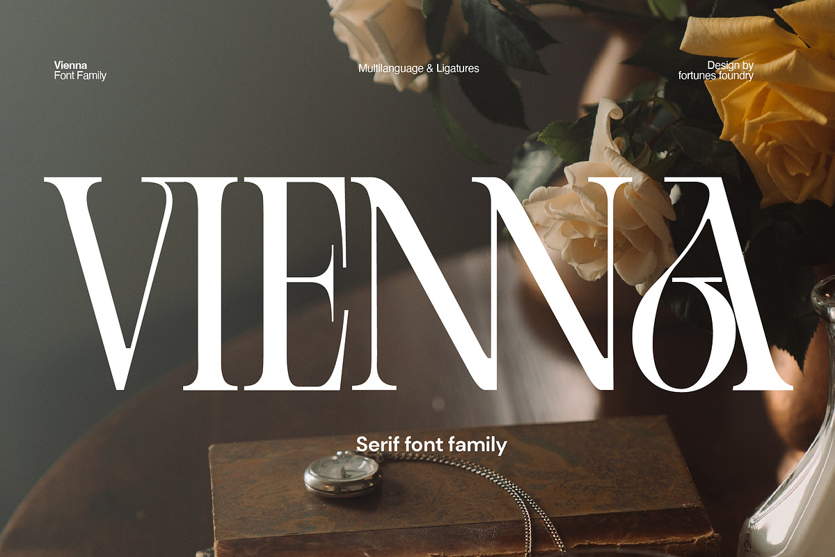 Vienna Modern Serif Font, a Serif Font by Fortunes Co (Photo 1 of 15)