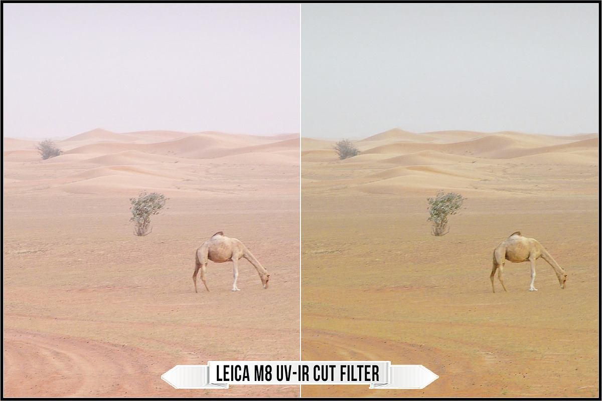 Leica Leitz Filters, a Plug-in Add-On by Raztrend (Photo 12 of 30)