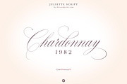 Juliette – Romantic Wedding Script, a Script Font by Blessed Print (Thumbnail 26 of 34)