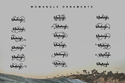 Wowangle Brush Script (Bonus Font), a Script Font by FHFont (Thumbnail 4 of 8)
