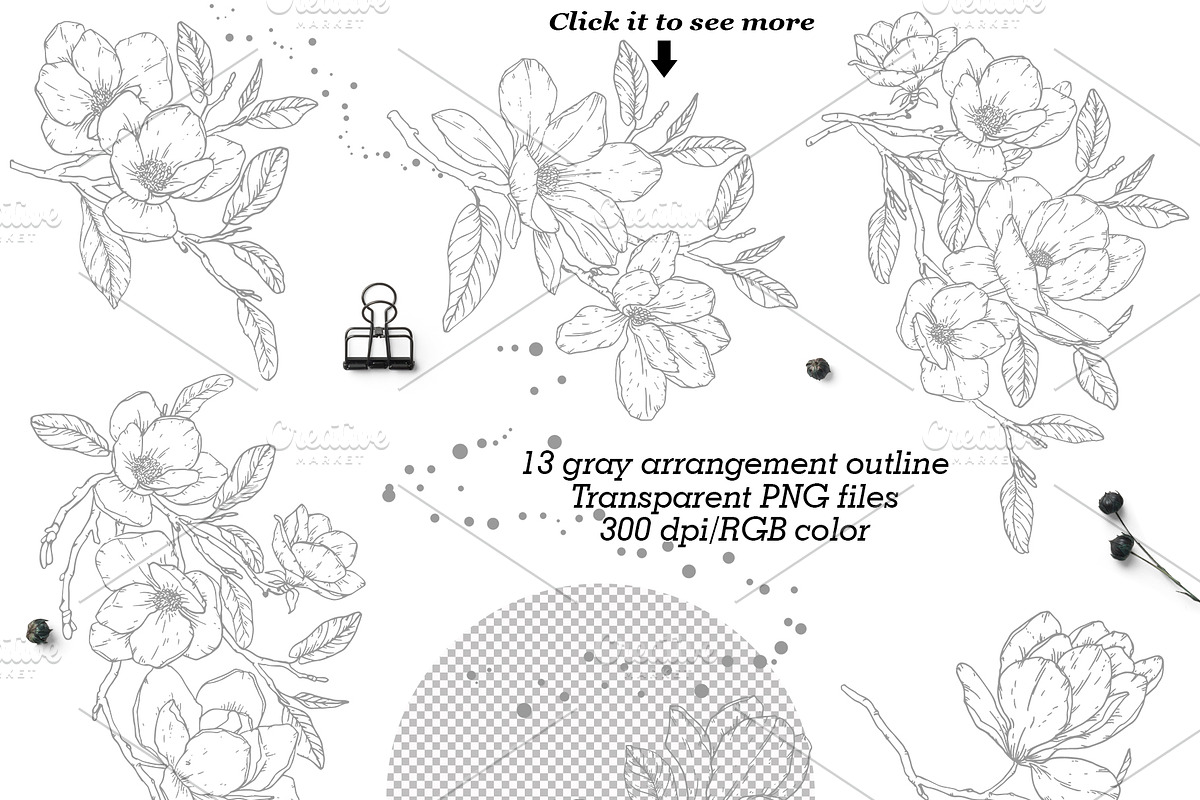 Magnolia Graphic Collection, a Decorative Illustration by Elly Studio (Photo 5 of 14)