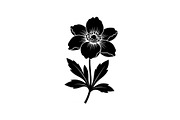 Floral Ornament Silhouette Bundle, an Illustration by BIPLOB EXPERT (Thumbnail 23 of 51)