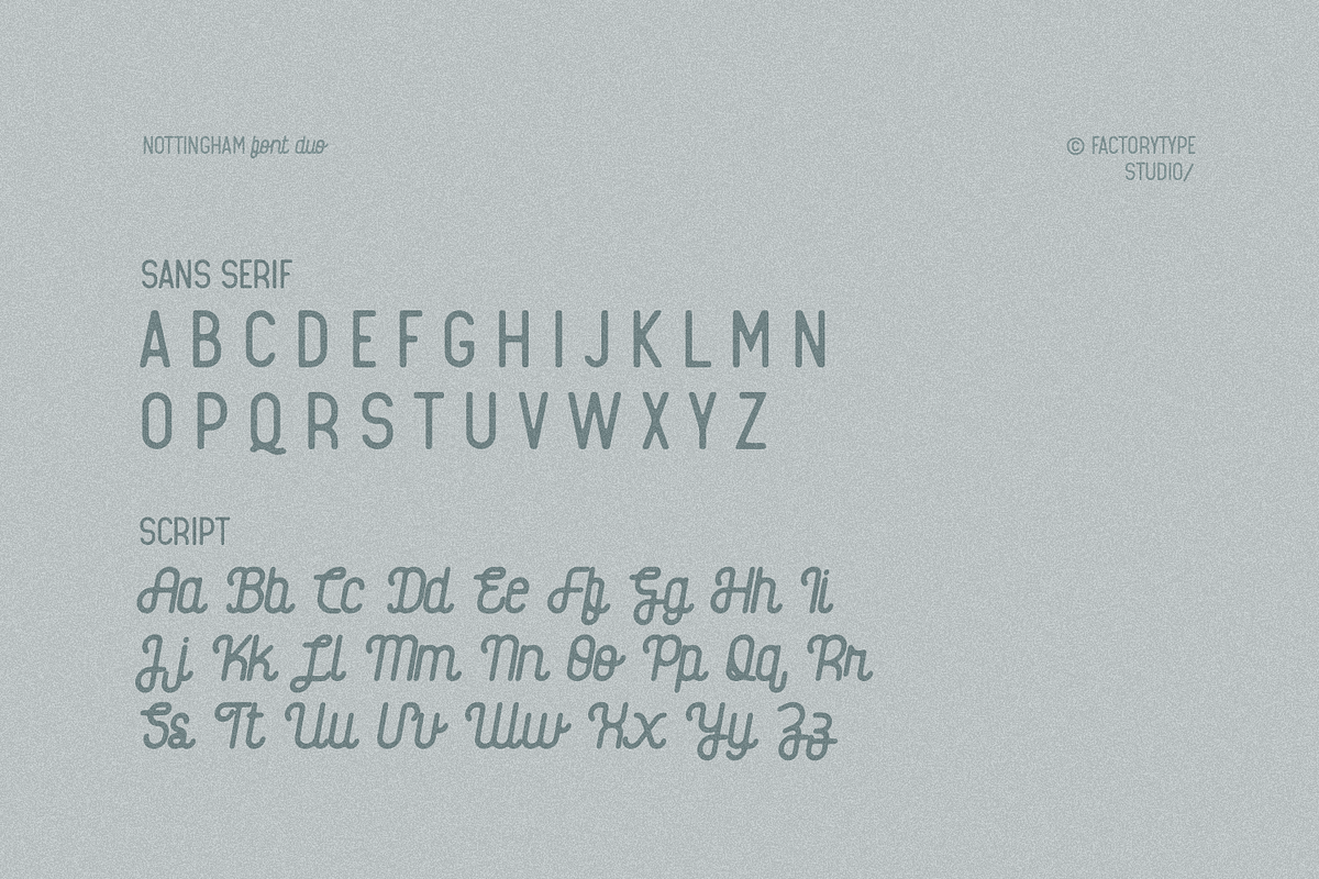 Nottingham, a Sans Serif Font by FactoryType Studio (Photo 4 of 11)