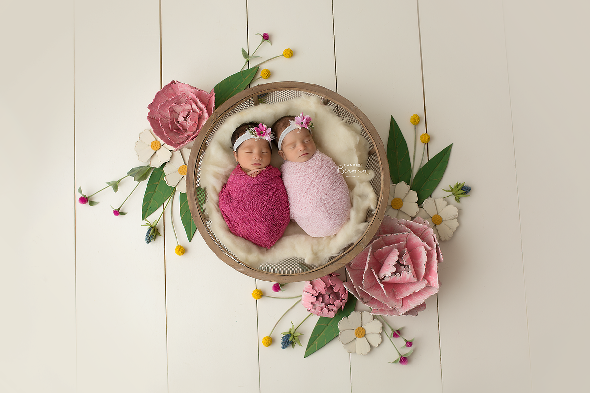 Newborn Photography Digital Backdrop preview 3