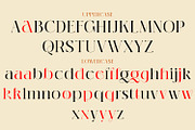 Michiya, a Serif Font by MJtypefoundry (Thumbnail 10 of 11)