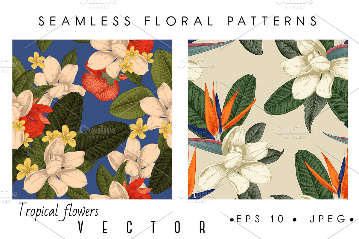 Tropical flowers. VECTOR, a Pattern Graphic by ollalya (Photo 4 of 8)