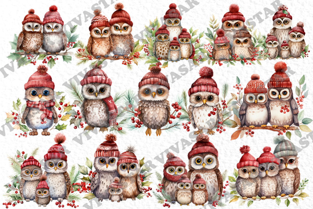 Cute Christmas Owls Clipart Xmas Png, an Animal Illustration by vivastarkids (Photo 2 of 4)