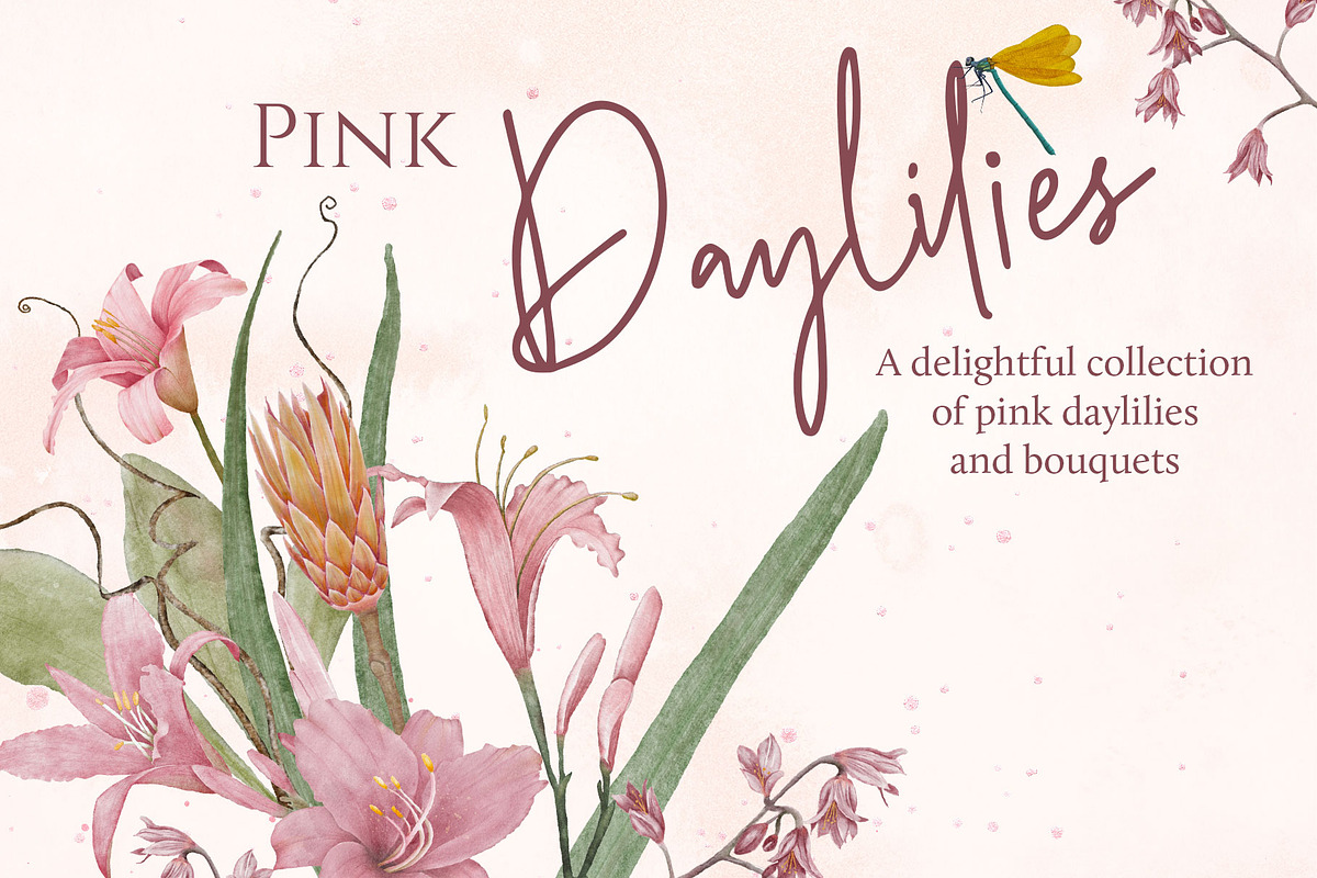 Pink Daylily Graphic Set, an Illustration by Maggie Stilwell Design (Photo 1 of 6)