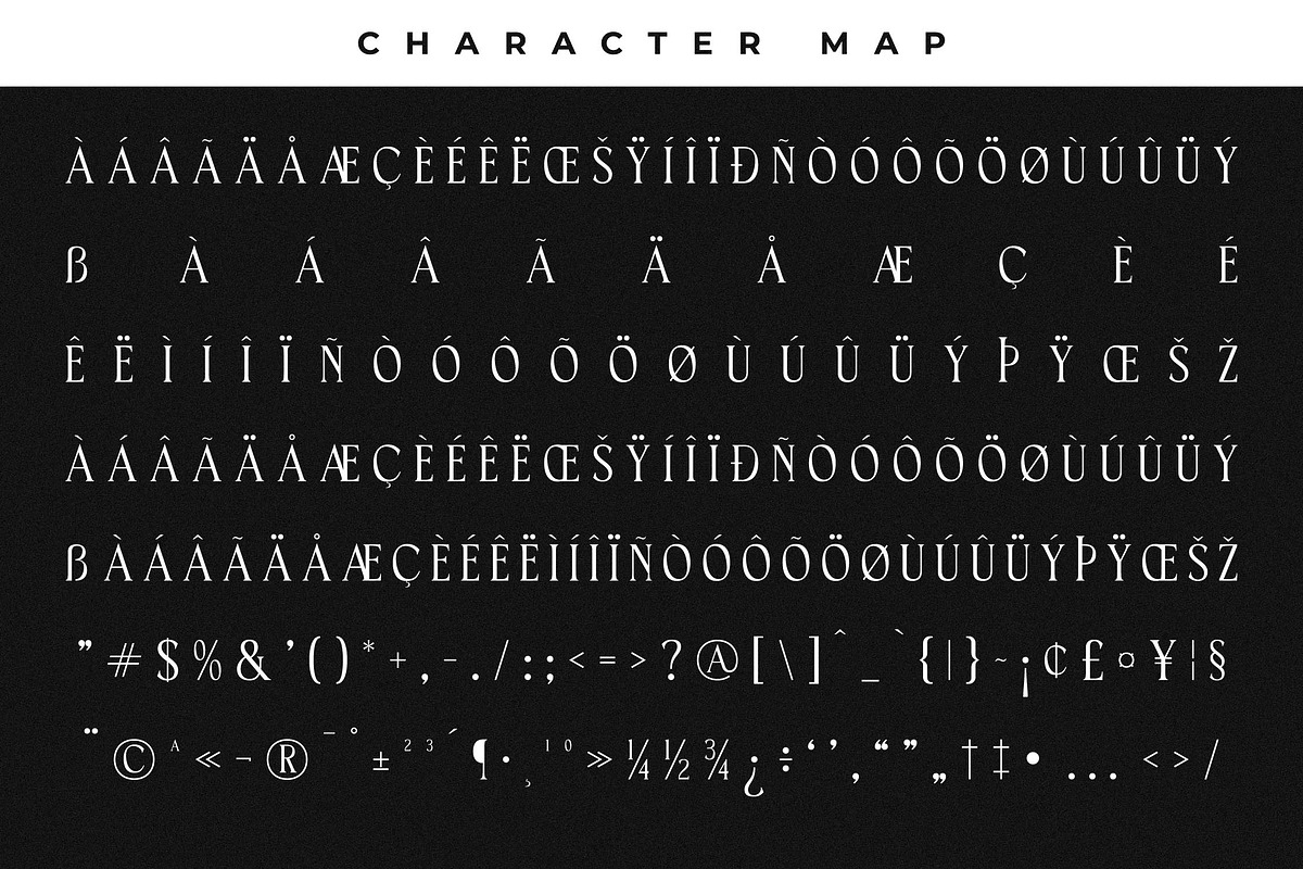 Horge A Display Serif Font, a Serif Font by Storytype Studio (Photo 15 of 16)